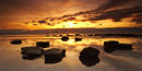 Sunburst